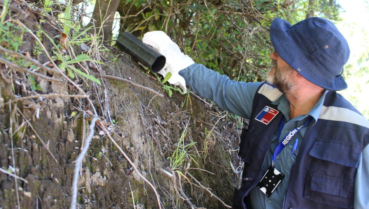 /2019/12/28/seremi-de-salud-de-los-rios-confirmo-fallecimiento-por-virus-hanta-en-la-region-de-los-rios