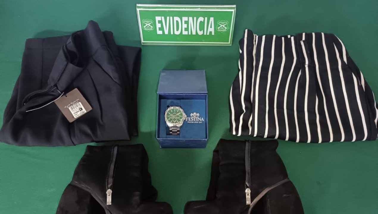 /carabineros-detuvo-en-copiapo-cinco-personas-tras-robo-de-especies-desde-el