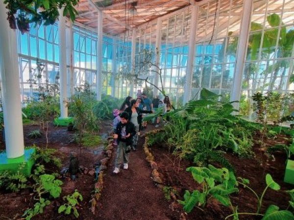 Familias recorrieron el jardín botánico de Aguas Antofagasta