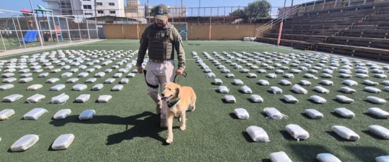 Antofagasta: Decomisan más de 700 kilos de marihuana en Operativo Antidrogas