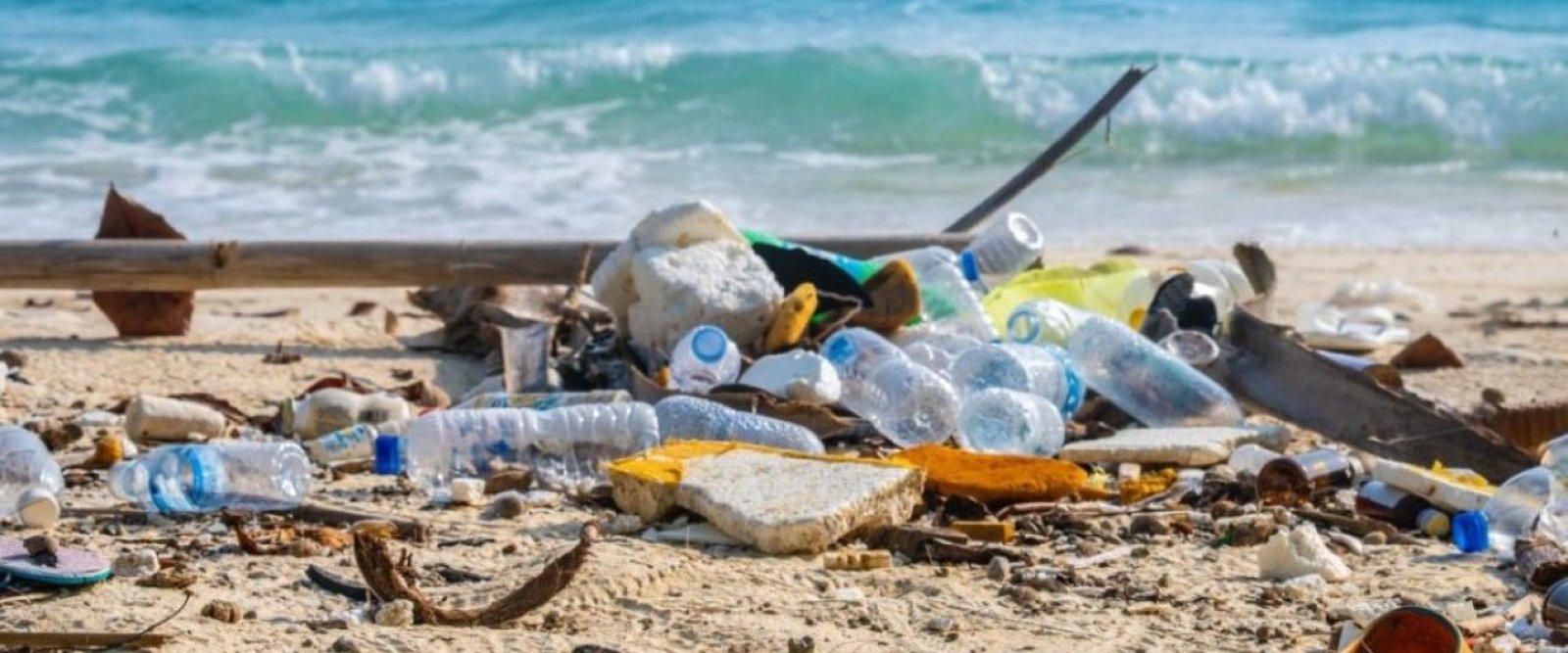 Región de Antofagasta concentra el mayor nivel de desechos en playas chilenas, según científicos