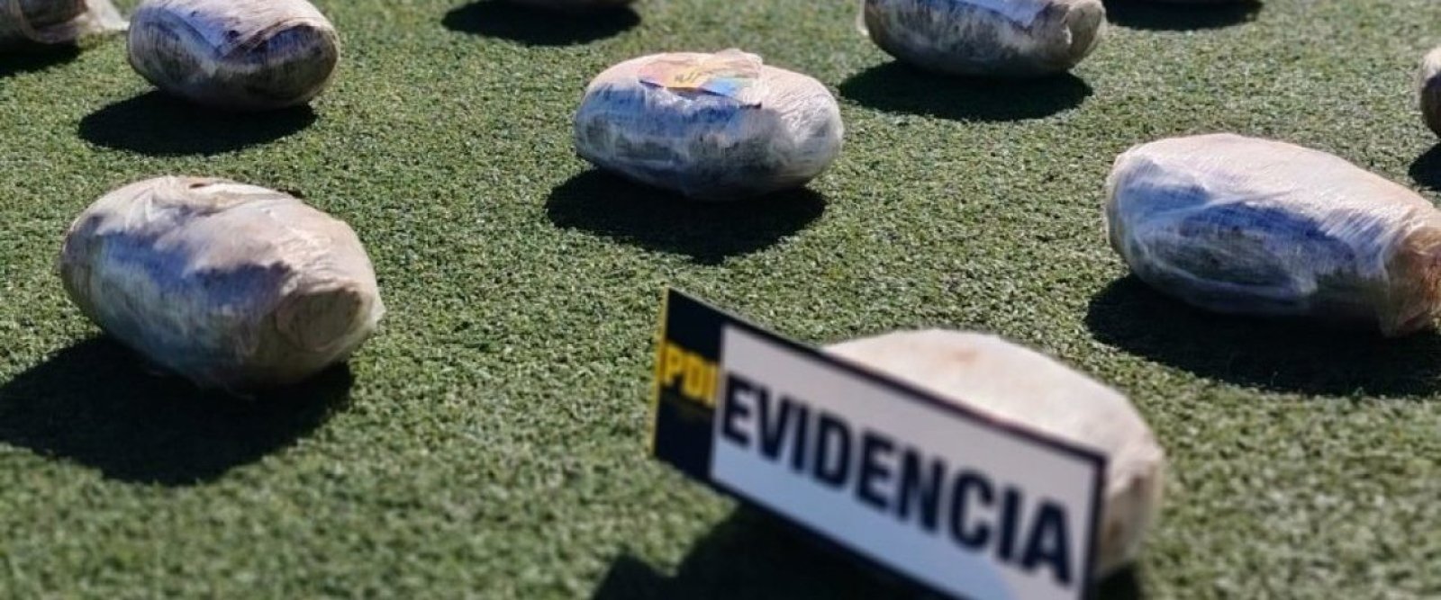 Antofagasta: Incautan más de media tonelada de cannabis lista para ser enviada a Santiago