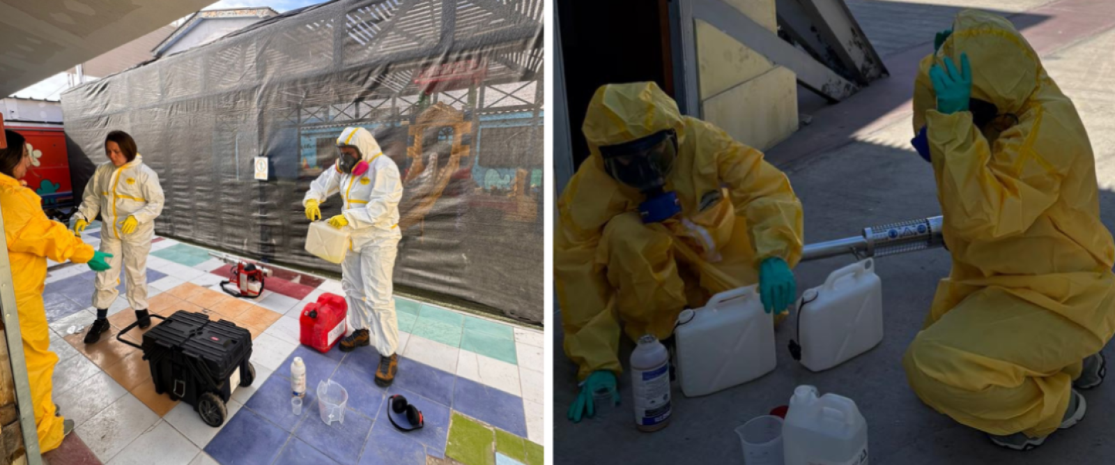 Alerta sanitaria en Tocopilla por presencia de mosquito Aedes Aegypti