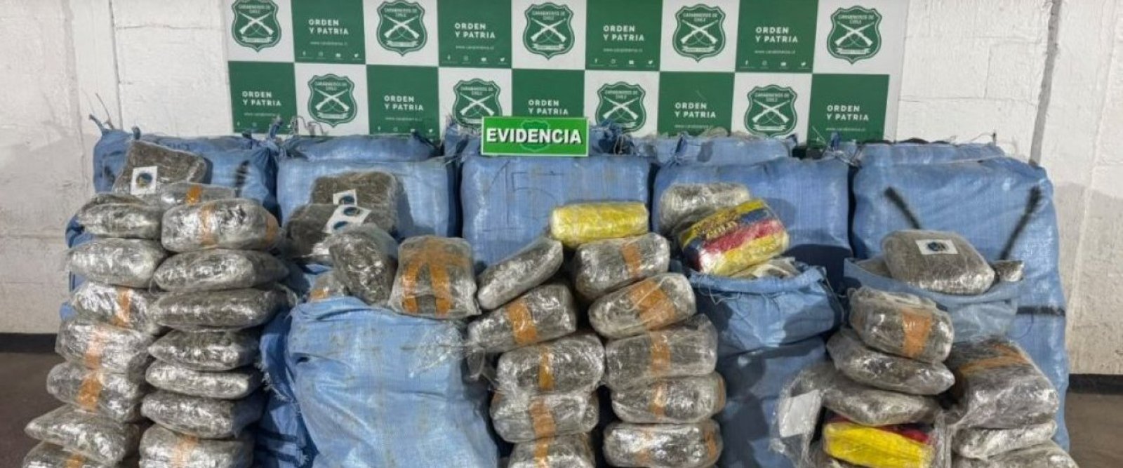 Casi una tonelada de marihuana es retirada de circulación en la Región de Antofagasta
