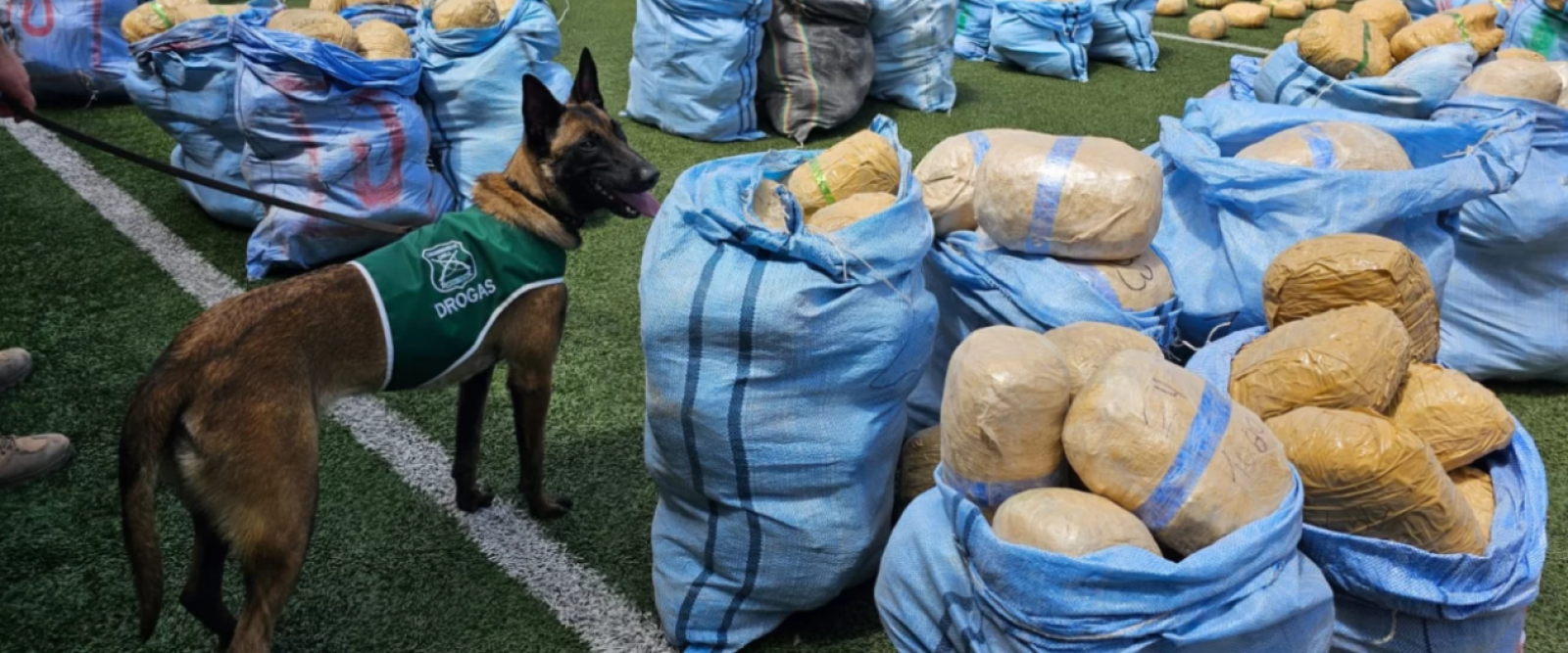 Región de Antofagasta concentra más de la mitad de la droga incautada en Chile