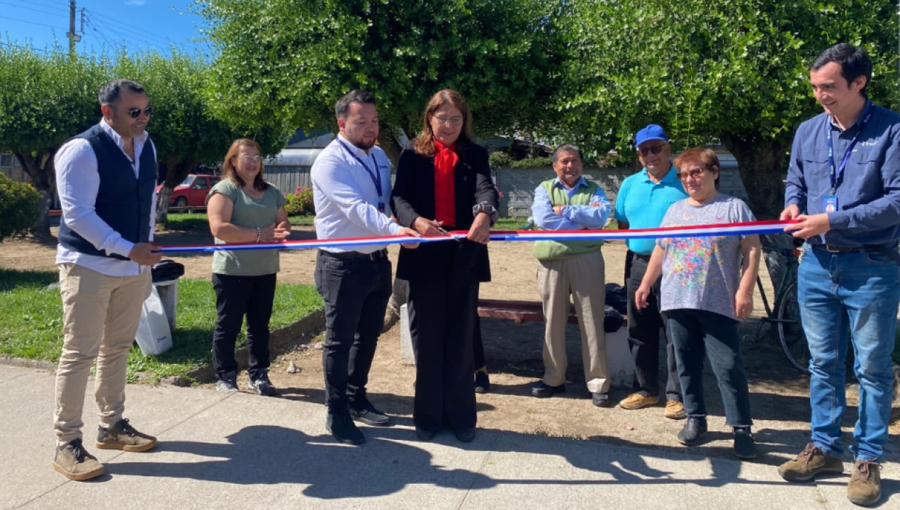 /frontel-inaugura-proyecto-de-iluminacion-en-plazoleta-de-arauco-con-su