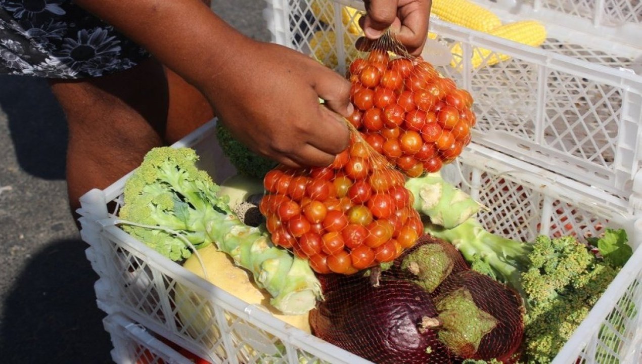 /usuarios-as-realizan-trabajos-comunitarios-recolectando-alimentos-para-0