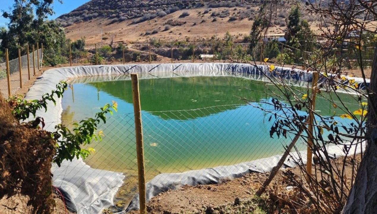 /pequena-agricultora-de-illapel-implementa-obra