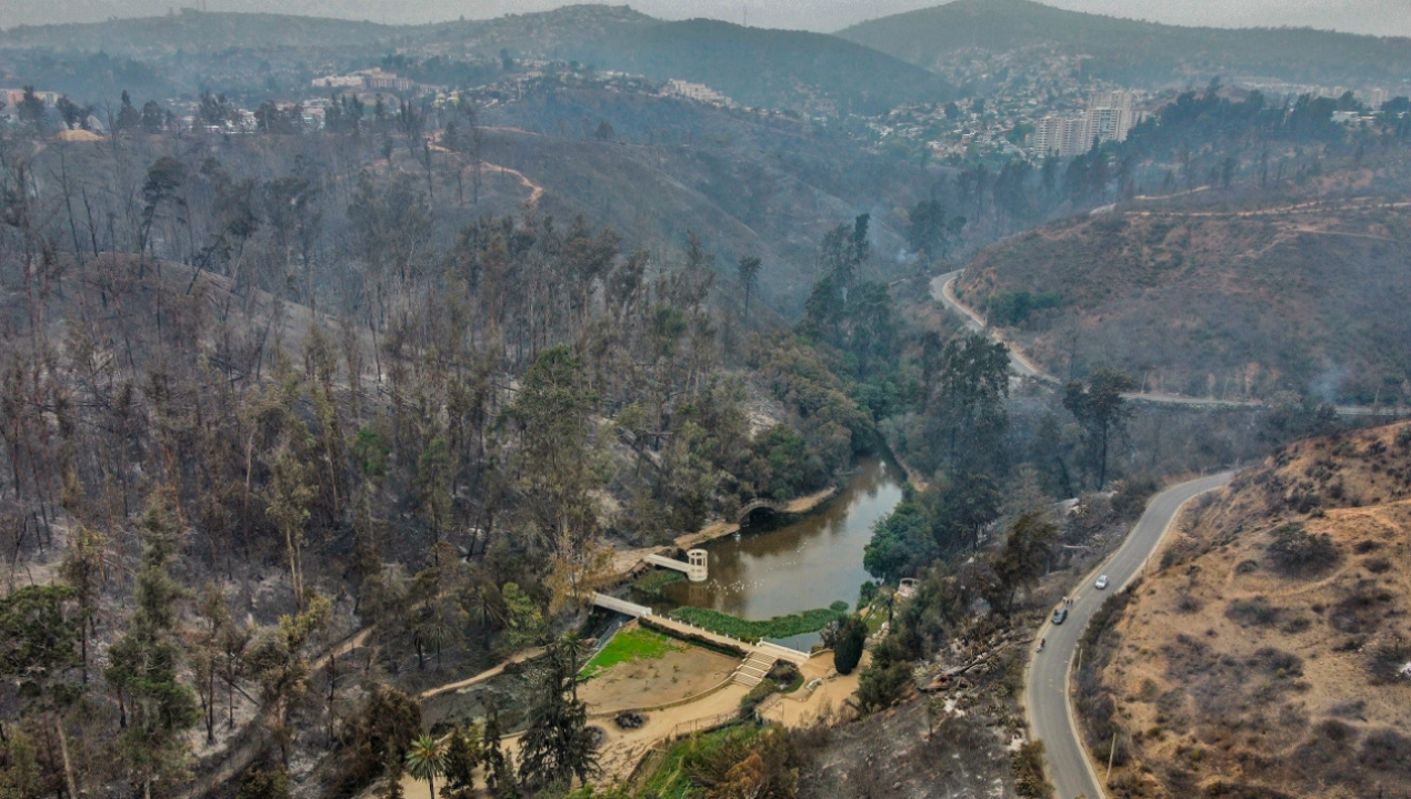 /regionales/region-de-valparaiso/detienen-a-dos-sospechosos-de-iniciar-nuevos-incendios-en-cercanias-del