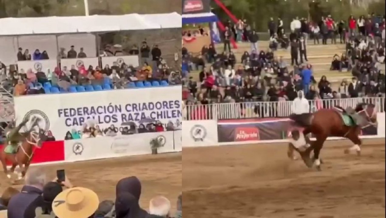 /actualidad/actualizan-estado-de-salud-de-carabinero-que-fue-arrastrado-por-caballo