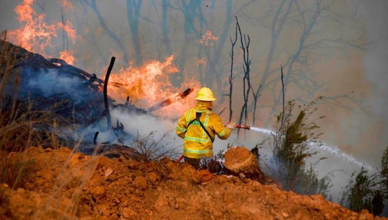 /actualidad/conaf-mantiene-24-incendios-forestales-en-combate-y-nuble-y-biobio