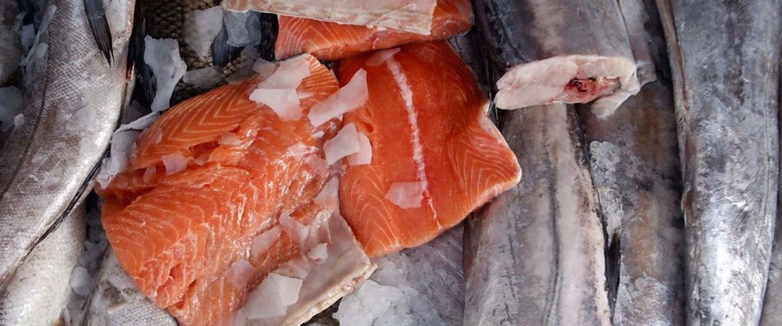 Sernac fiscaliza venta de pescados y mariscos congelados por Semana Santa